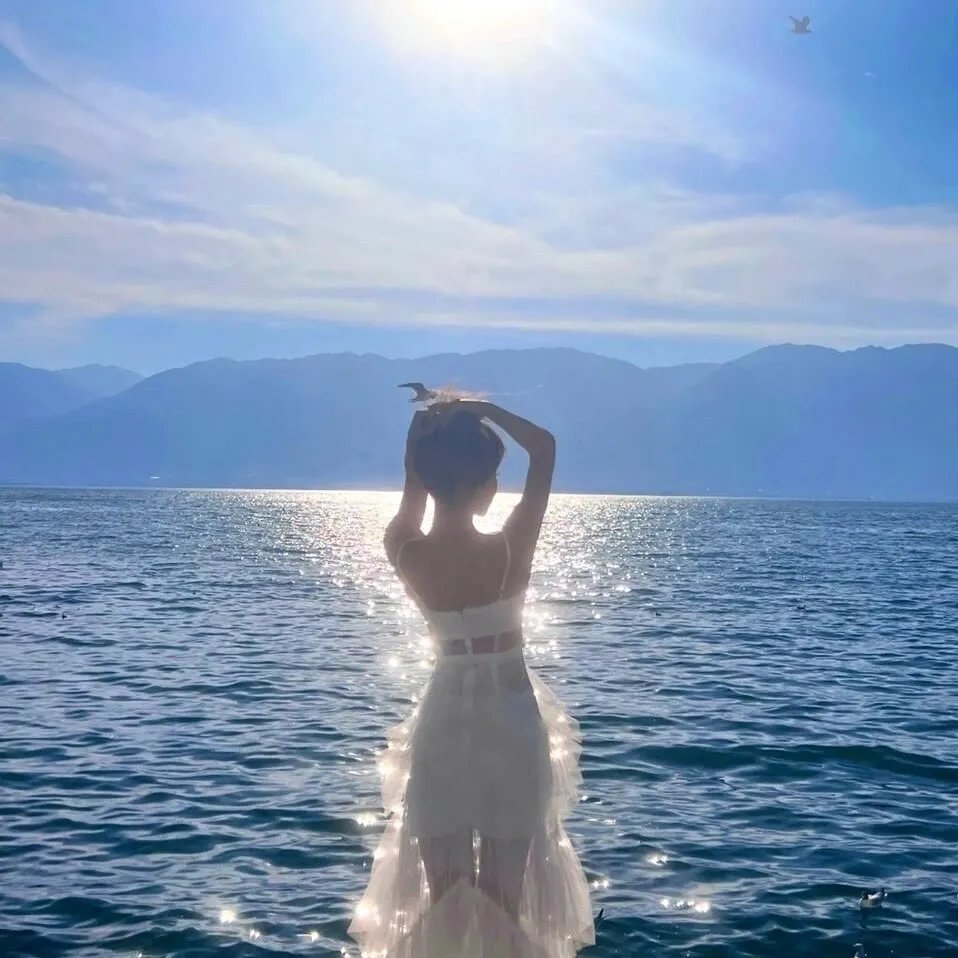 谍海龙虎会