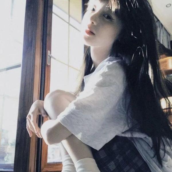 海龟们